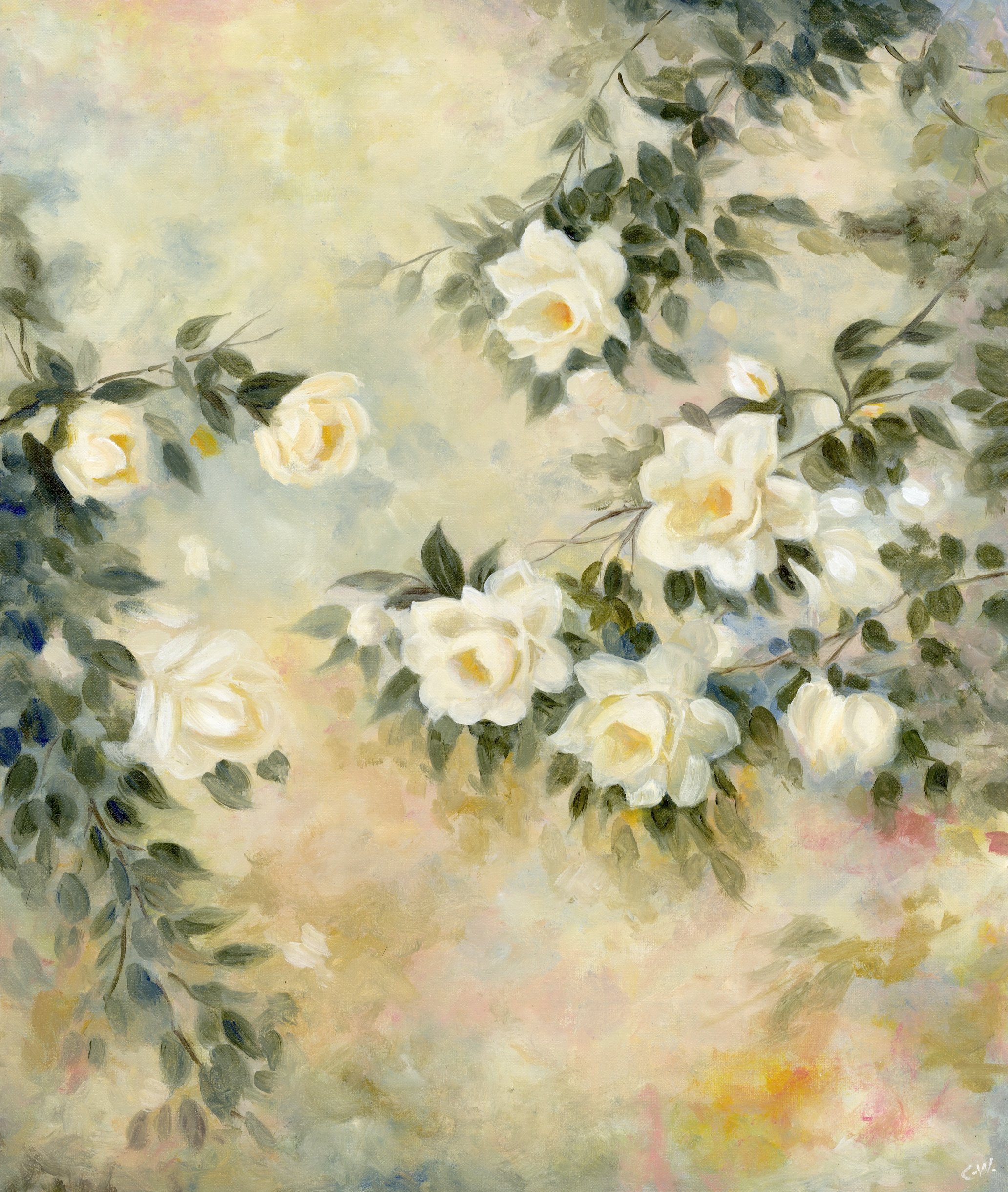 Cerise Washington's original oil painting of trailing white roses on a soft cream and blush ground